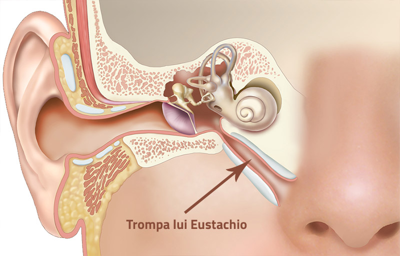 trompa-eustachio