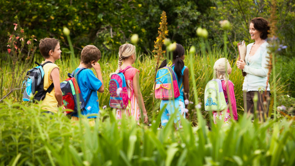 "Boala cu o mie de feţe" pândeşte în toate parcurile. Care sunt primele simptome